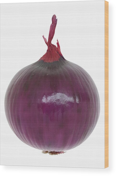 White Background Wood Print featuring the photograph Red Onion by Suzifoo