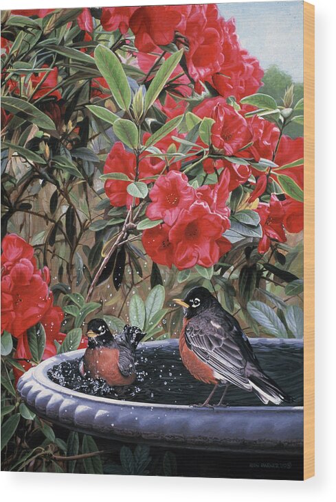 Two Robins Sit In A Birdbath Wood Print featuring the painting Robins In A Birdbath by Ron Parker