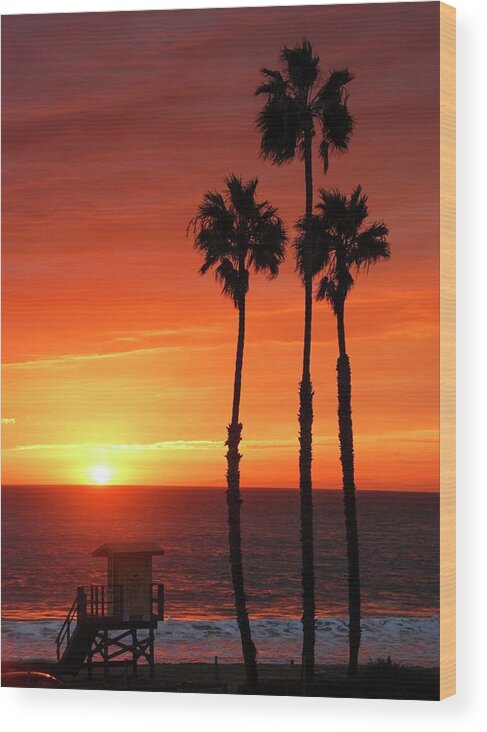 San Clemente Wood Print featuring the photograph San Clemente Palms by Hal Bowles