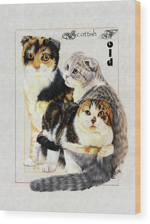 Scottish Fold Cats Wood Print featuring the painting Scottish Fold by Barbara Keith