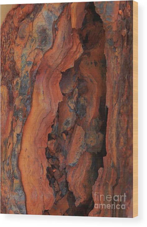  Beauty Of Rust Wood Print featuring the photograph The Beauty of Rust by Marcia Lee Jones