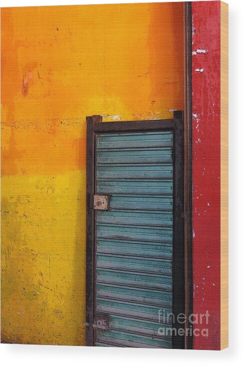 Well Wood Print featuring the photograph The Blue Door by Diana Rajala