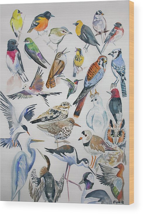 Bird Wood Print featuring the painting Watercolor - North American Birds by Cascade Colors