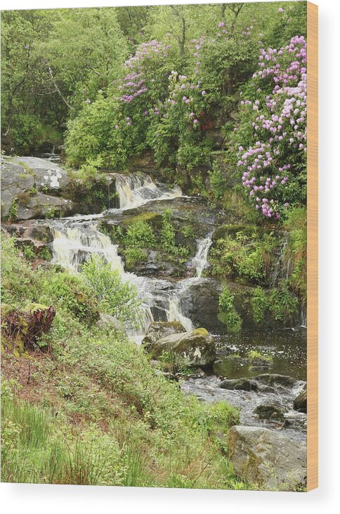 Waterfall Wood Print featuring the photograph Waterfall And Gardens by Jeff Townsend