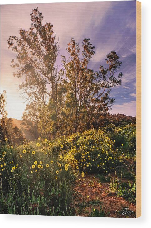 Chatsworth Wood Print featuring the photograph Wildflower Sunset by Endre Balogh