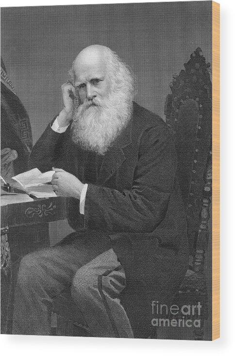 Poetry- Literature Wood Print featuring the photograph William Cullen Bryant Sitting At Table by Bettmann