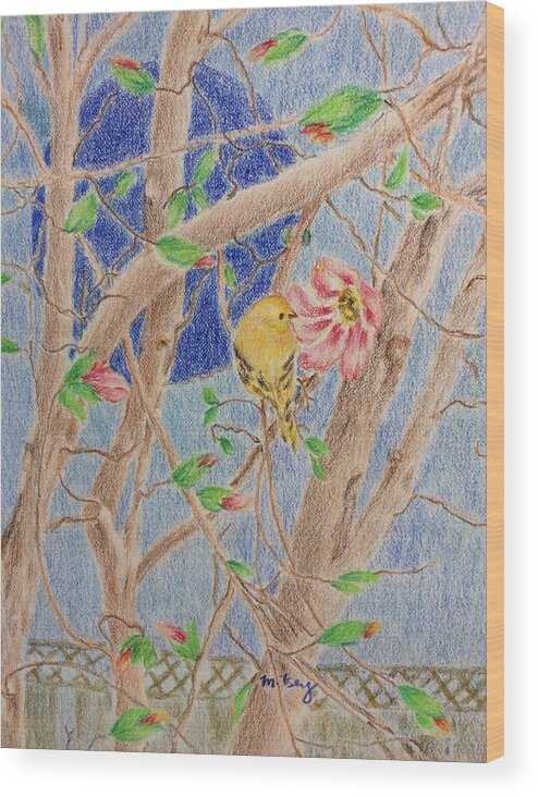 Framed Prints Wood Print featuring the drawing Yellow finch and magnolia blossoms by Milly Tseng