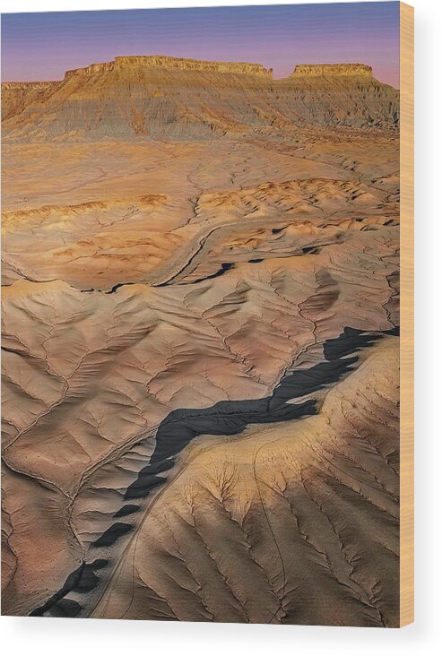 Utah Badlands Wood Print featuring the photograph Aerial Utah Badlands #1 by Susan Candelario
