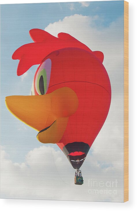 Bristol International Balloon Fiesta Wood Print featuring the photograph Chicken Hot Air Balloon. #1 by Colin Rayner