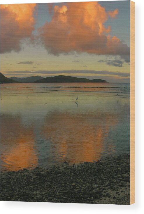 St. John Wood Print featuring the photograph Leinster Bay Dawn Reflections #1 by Stephen Vecchiotti