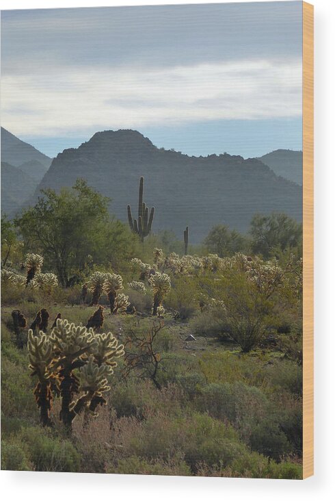 Southwestern Wood Print featuring the photograph A Scottsdale Vista by Gordon Beck