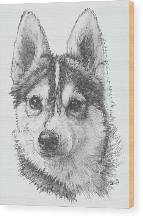 Designer Dog Wood Print featuring the drawing Alaskan Klee Kai by Barbara Keith