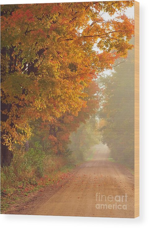 Autumn Wood Print featuring the photograph Autumn is a Verb by Terri Gostola