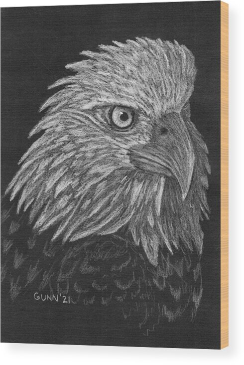 Bald Eagle Wood Print featuring the drawing Bald Eagle white on black by Katrina Gunn