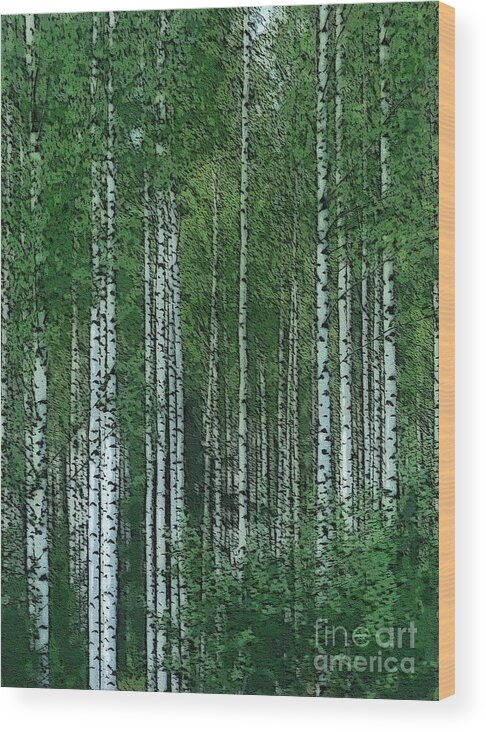 Birches Wood Print featuring the digital art Birch Forest by Diana Rajala