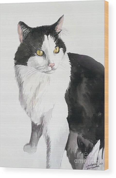 Cat Wood Print featuring the painting Black and white cat by Christopher Shellhammer