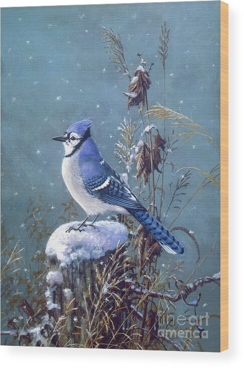 Scott Zoellick Wood Print featuring the painting Bluejay 2 by Scott Zoellick