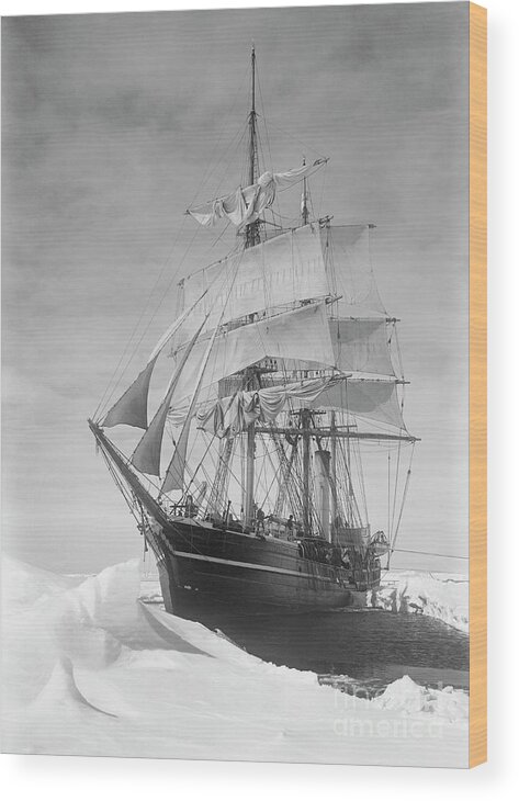 1900s Wood Print featuring the drawing Terra Nova in Antarctic pack ice, 1910 by Scott Polar Research Institute