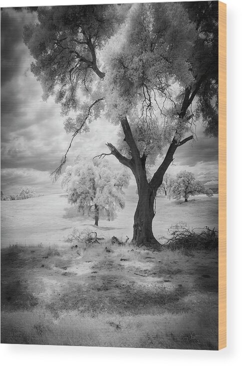 Infared Wood Print featuring the photograph California Countryside by Craig J Satterlee