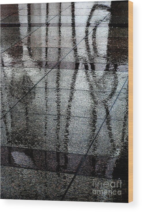  Wood Print featuring the photograph Chicago Rain Walk by Mary Kobet
