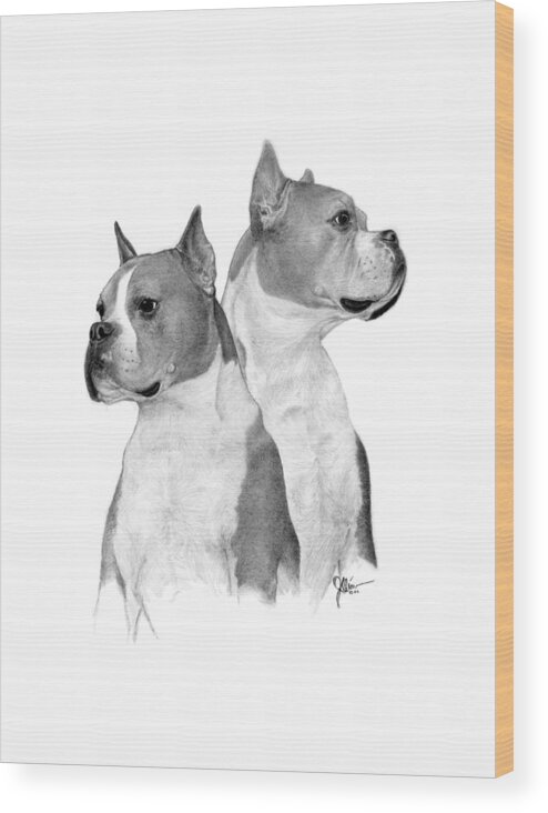 Pencil Drawing Print Wood Print featuring the drawing Doc the Boxer by Joe Olivares