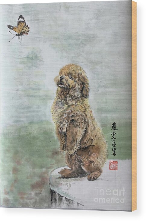 Shih Tzu Dog Wood Print featuring the painting Calm Observation by Carmen Lam