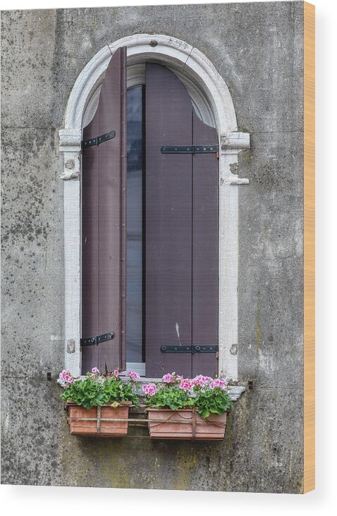 Venice Wood Print featuring the photograph Flower Window of Venice by David Letts