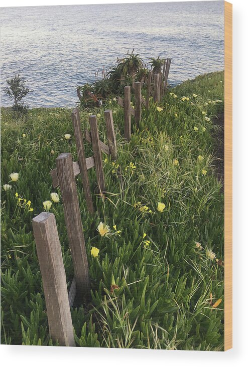 West Cliff Drive Wood Print featuring the photograph Hillside Pathway by Jennifer Kane Webb
