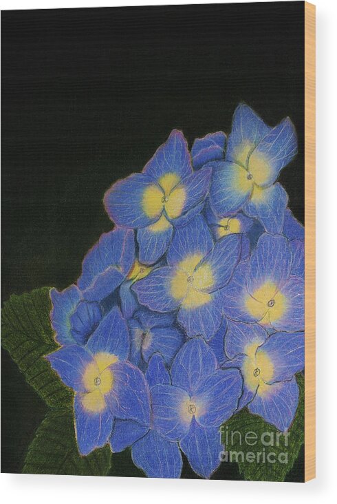 Dorothy Lee Art Wood Print featuring the painting Hydrangea Flowers by Dorothy Lee
