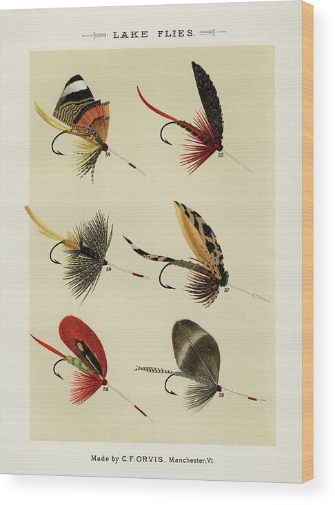 Lake Flies - Vintage Fishing Flies Illustration 01 Wood Print by