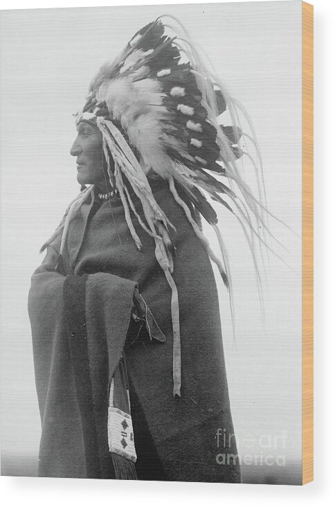 Lazy Boy Wood Print featuring the photograph Lazy Boy, Indian chief, 1914 by Harris and Ewing
