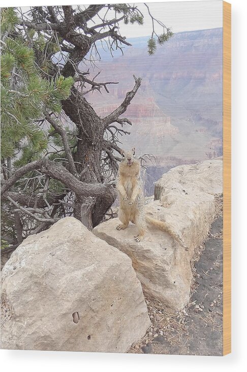 Little Animal Wood Print featuring the photograph little animal Grand Canyon by Joelle Philibert