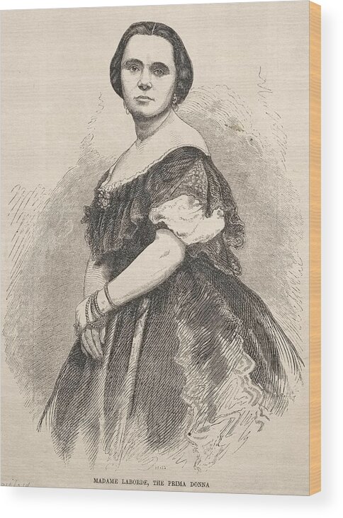Winslow Homer Wood Print featuring the drawing Madame Laborde, the Prima Donna by Winslow Homer