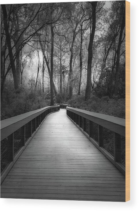 Florida Boardwalk Wood Print featuring the photograph Moody and Mysterious Florida Boardwalk in Black and White by Rebecca Herranen