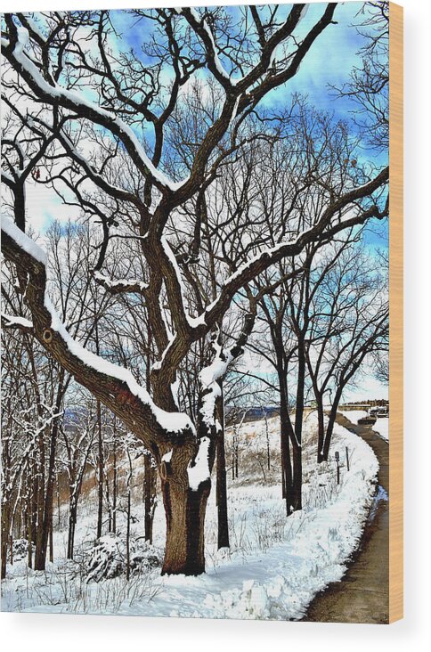 Paths Wood Print featuring the photograph Path To The Lookout by Susie Loechler