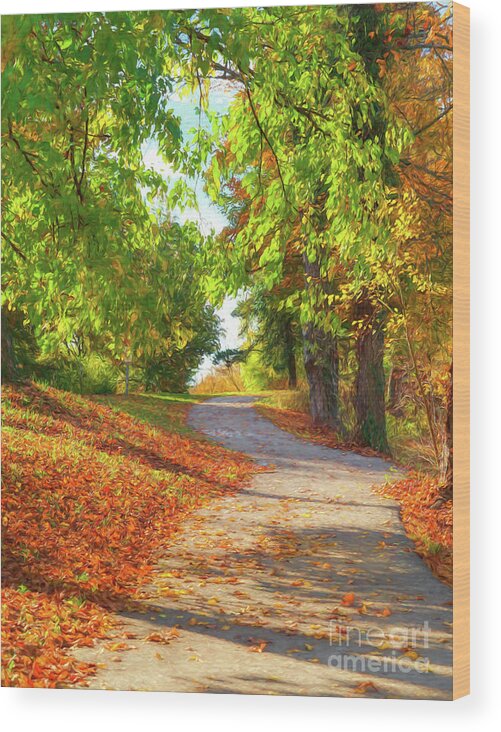 Pathway To Autumn Wood Print featuring the photograph Pathway To Autumn # 3 by Mel Steinhauer