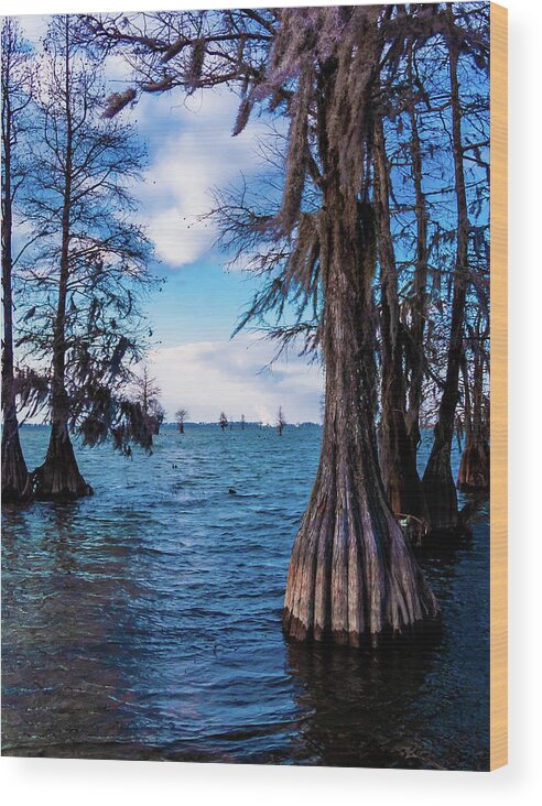 Blue Wood Print featuring the photograph Pinopolis Point by Louis Dallara