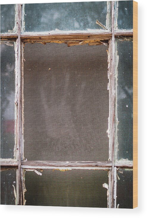 Sc State Hospital Wood Print featuring the photograph Please Let Me Out... by Charles Hite