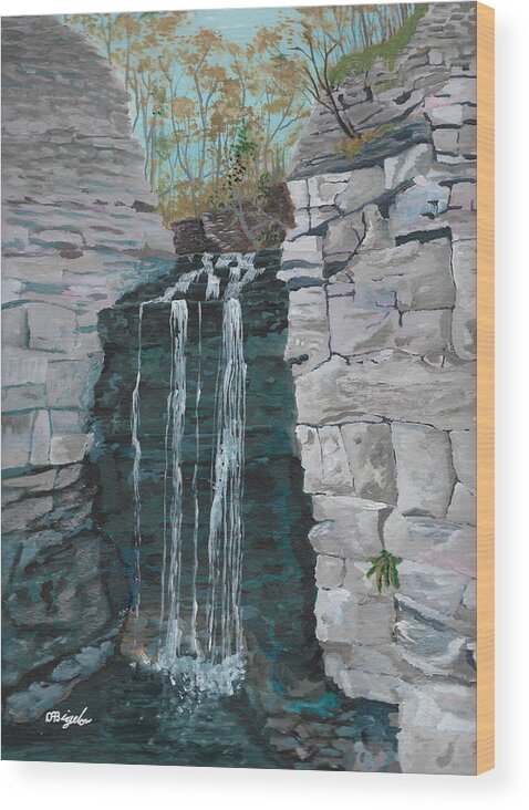 Nature Wood Print featuring the painting Princess Falls by David Bigelow
