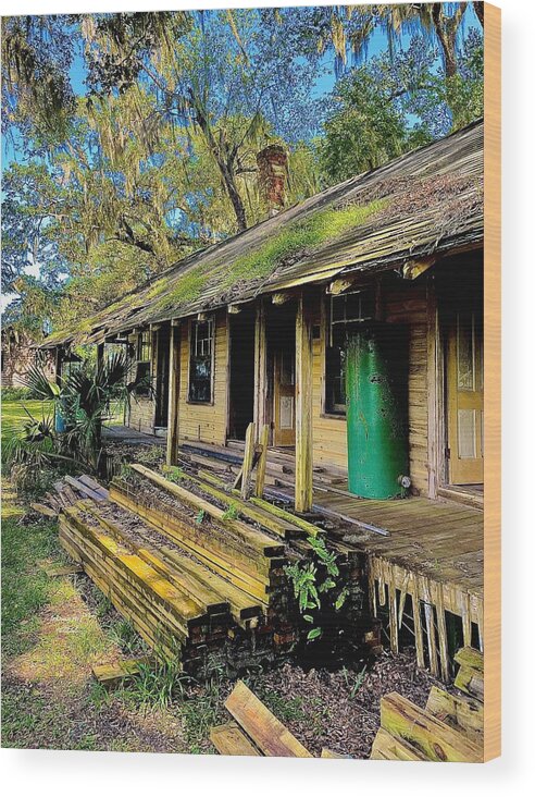 Florida Wood Print featuring the photograph Projects by John Anderson