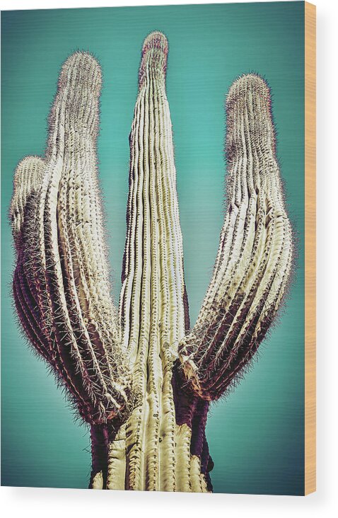 Atmospheric Wood Print featuring the photograph Saguaro #4 by Jennifer Wright