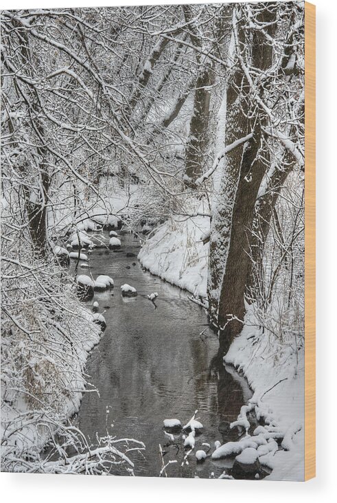 Creek Wood Print featuring the photograph Saunders Creek Dressed in White - Small WI creek bedazzled with fresh winter snow - color by Peter Herman