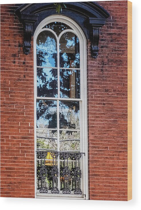 Marietta Georgia Wood Print featuring the photograph Savannah Window by Tom Singleton