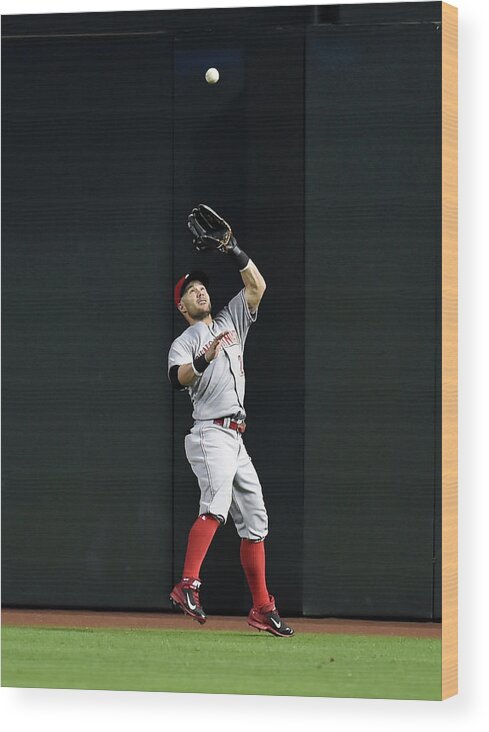 American League Baseball Wood Print featuring the photograph Skip Schumaker by Norm Hall