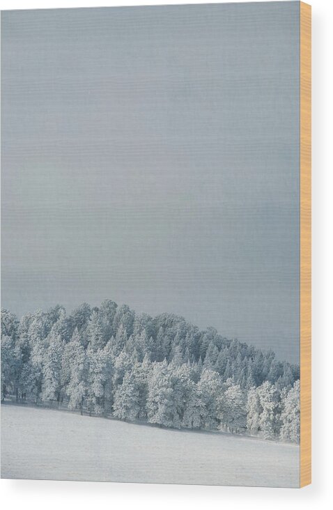 Snow Wood Print featuring the photograph Snowy Trees by Kevin Schwalbe