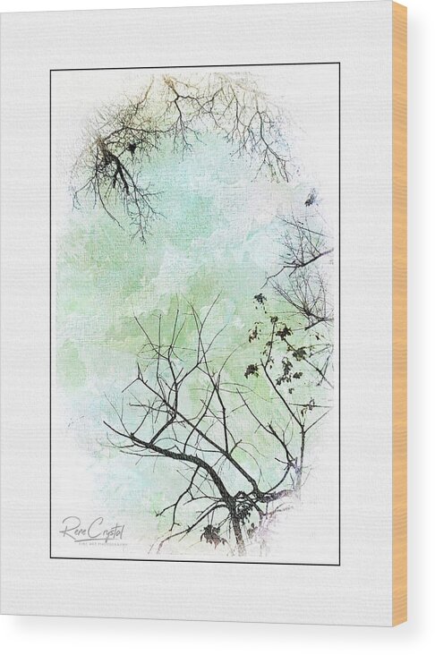Trees Wood Print featuring the photograph Someday We'll Hug Again by Rene Crystal