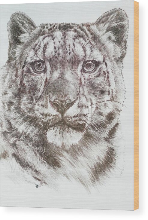Snow Leopard Wood Print featuring the drawing Splendid by Barbara Keith