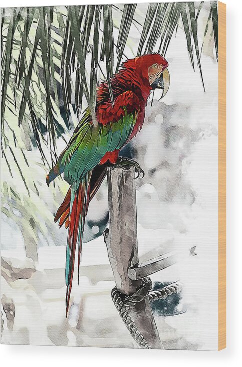 Macaw Wood Print featuring the photograph Steel Drummer by David Smith