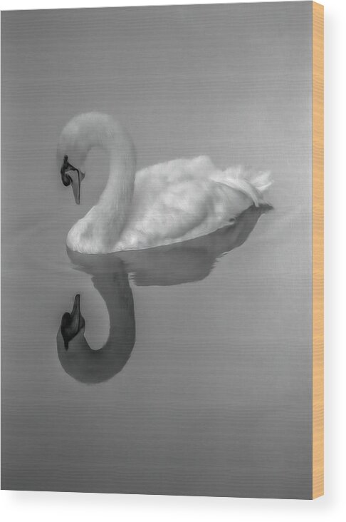 Swan Wood Print featuring the photograph Swan by Jim Painter