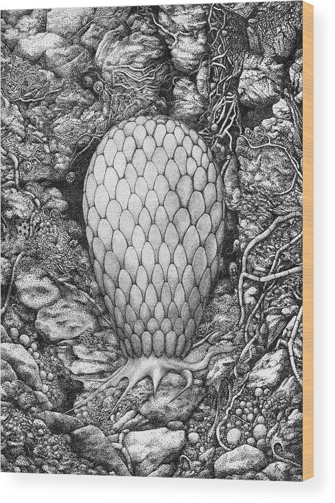 Microbe Wood Print featuring the drawing Testate amoeba in soil by Kate Solbakk
